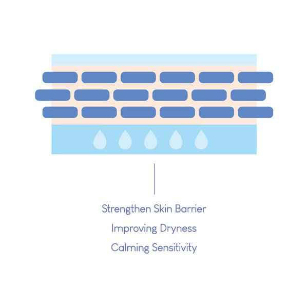 Purito Dermide Cica Barrier Sleeping Pack 80ml