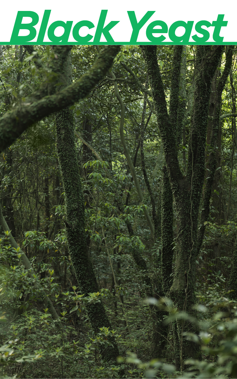 [Innisfree] Forest For Men Shaving Cleansing Foam 150g - Gotta Glow