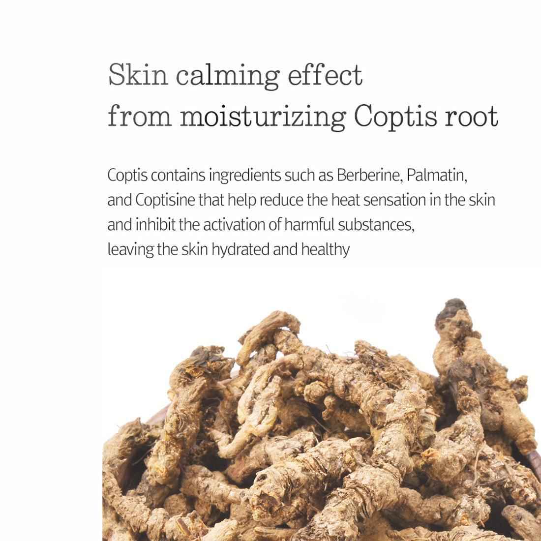 Pyunkang Yul Moisture Cream 100ml - Soothing Hydration with Coptis Root Extract, Shea Butter, and Jojoba Seed Oil