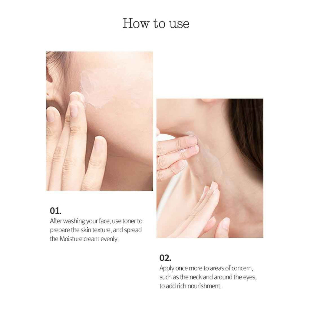 Pyunkang Yul Moisture Cream 100ml - Soothing Hydration with Coptis Root Extract, Shea Butter, and Jojoba Seed Oil