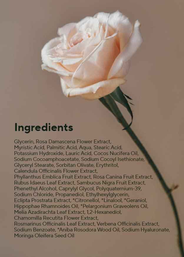 Aromatica Reviving Rose Infusion Cream Cleanser 145g