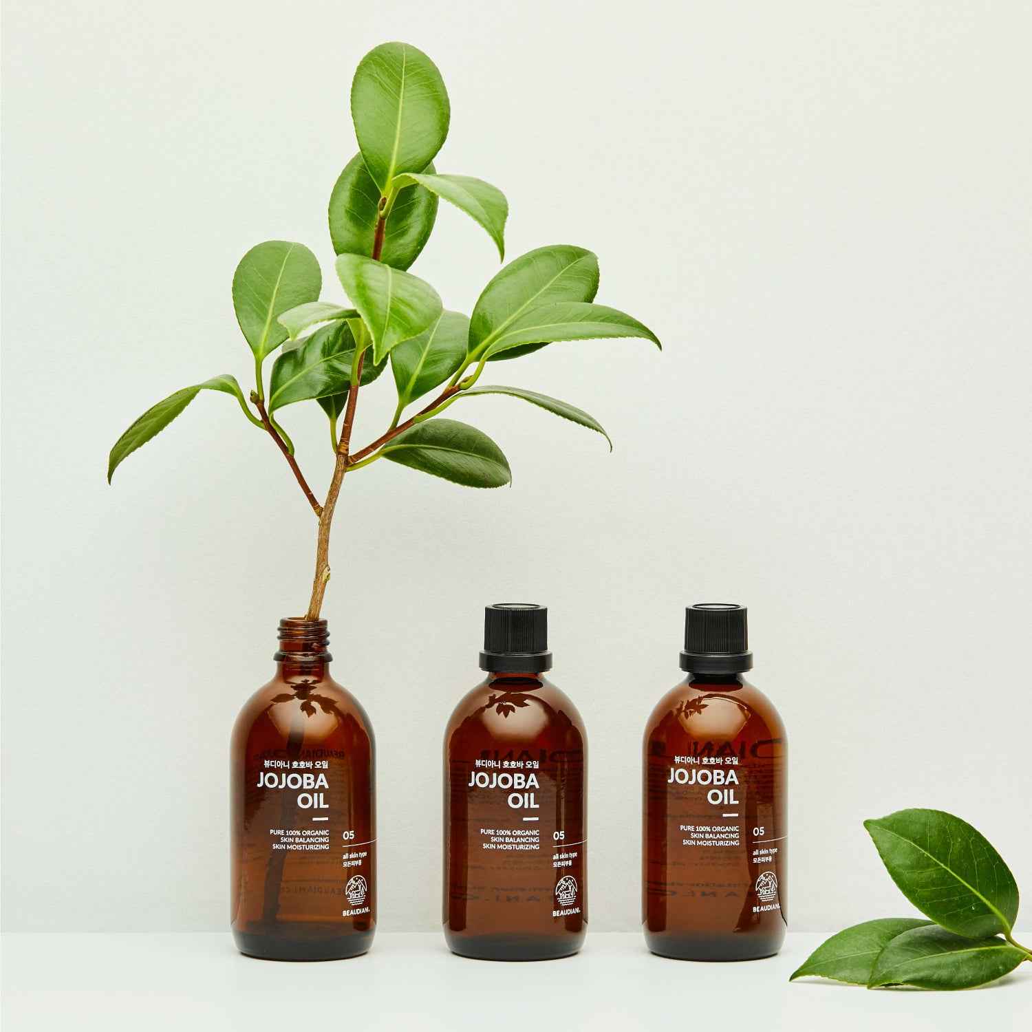 Beaudiani Jojoba Oil 100ml