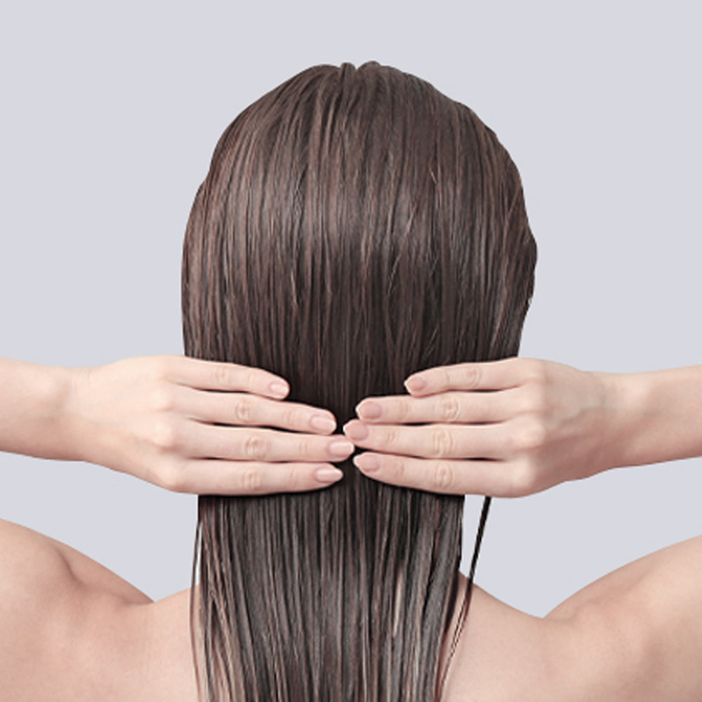 Pyunkang Yul Hair and Body Travel Kit - Four 100ml Bottles