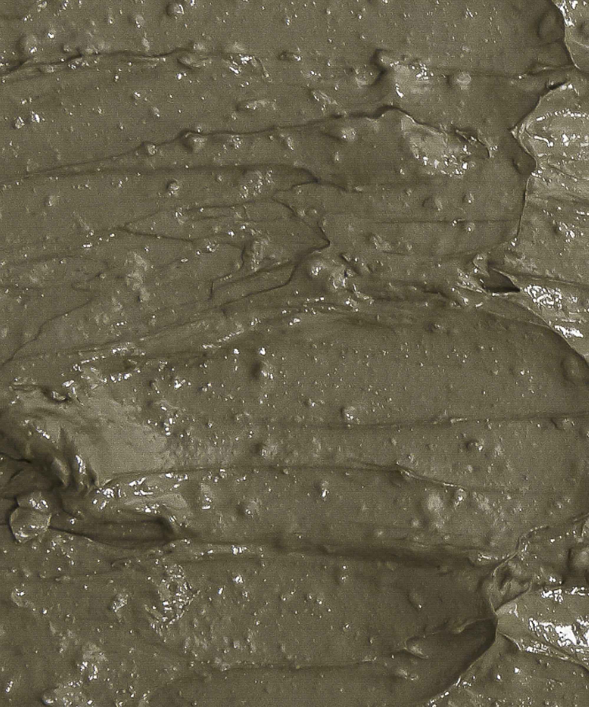 Celimax The Real Noni Refresh Clay Mask 120g