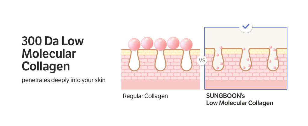 SUNGBOON EDITOR Deep Collagen Power Boosting Cream In Serum 30ml