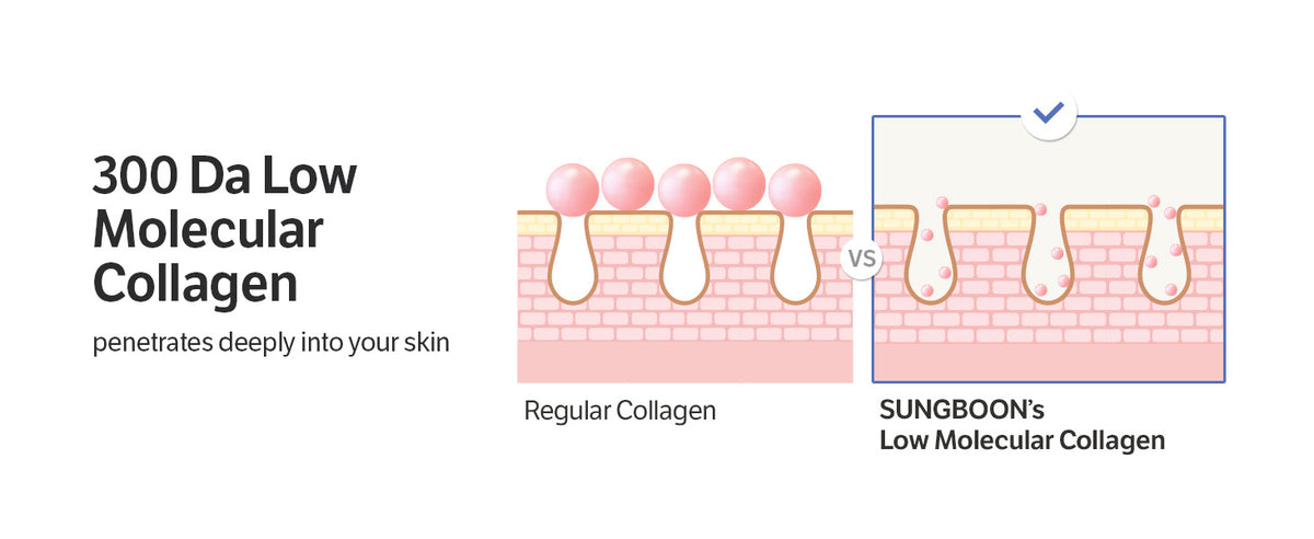 SUNGBOON EDITOR Deep Collagen Power Boosting Cream In Serum 30ml